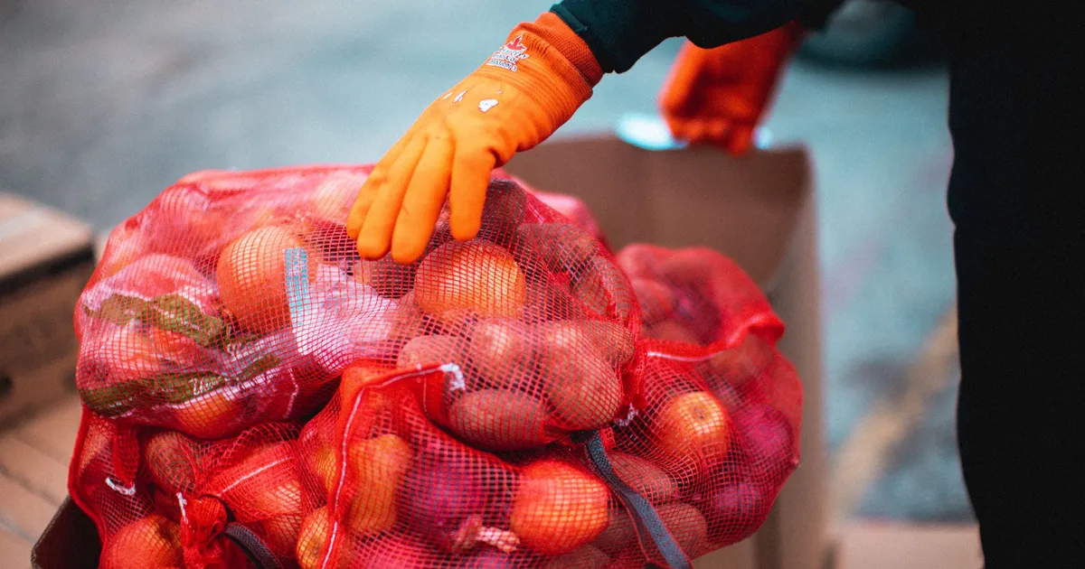 A worker wearing gloves organizes fresh apples in net bags within a cardboard box outdoors.