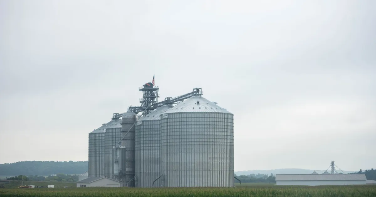 Grain silos standing tall in a rural Minnesota landscape under a cloudy sky.