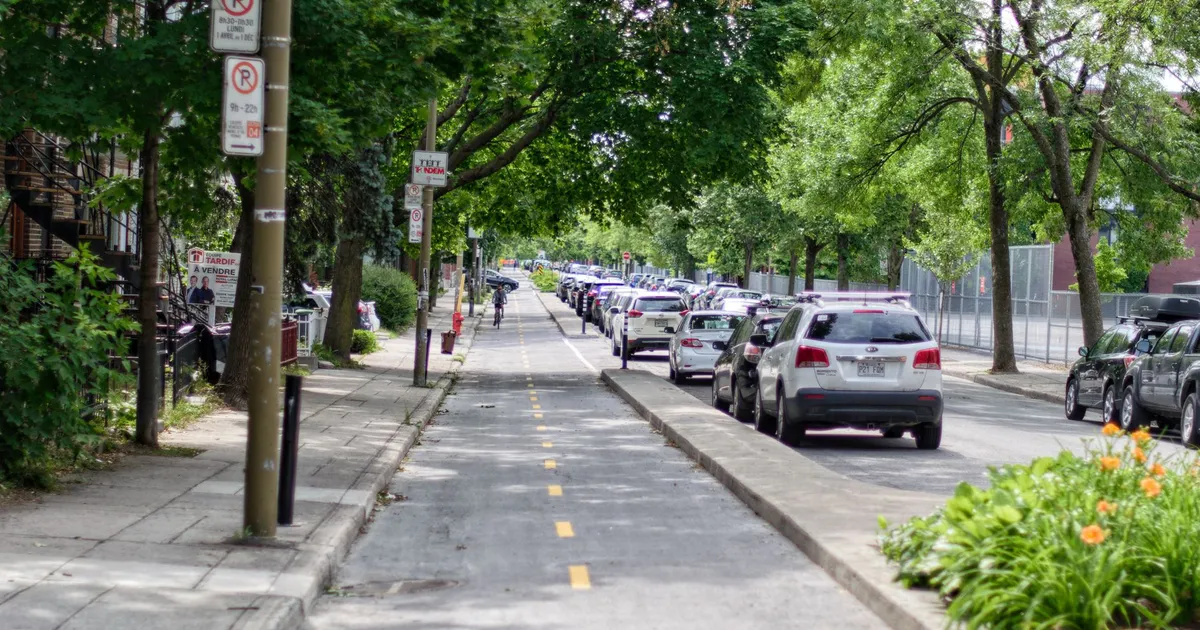 City street with cars parked alongside a bike lane under a canopy of green trees.