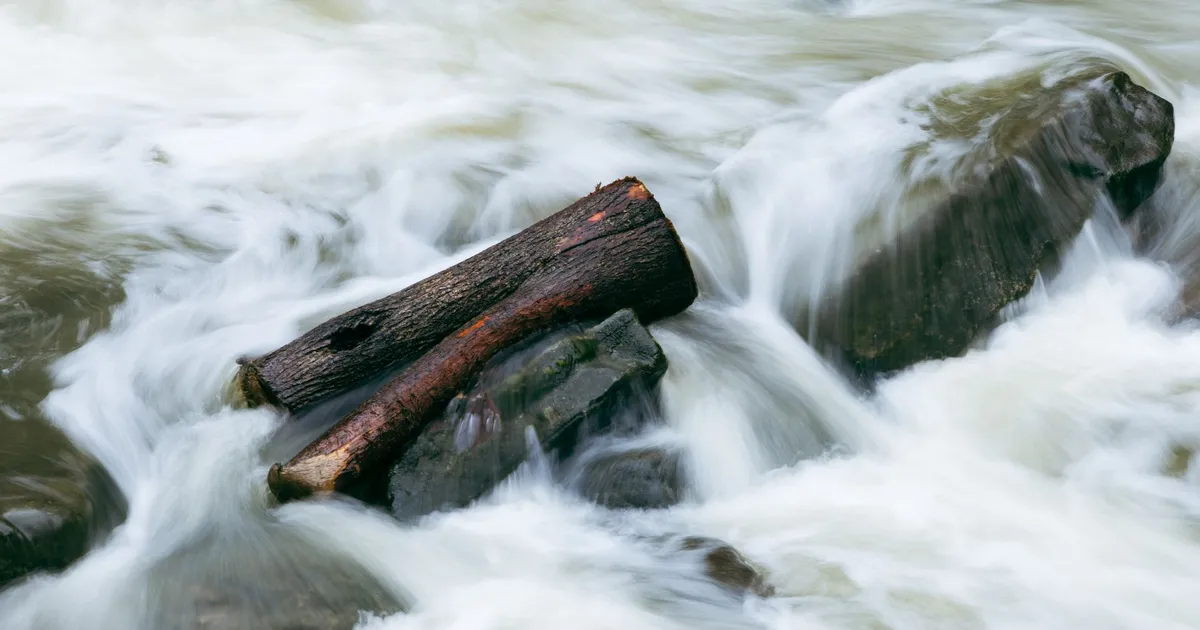 Tranquil scene of water rushing over rocks and a log in a natural setting.