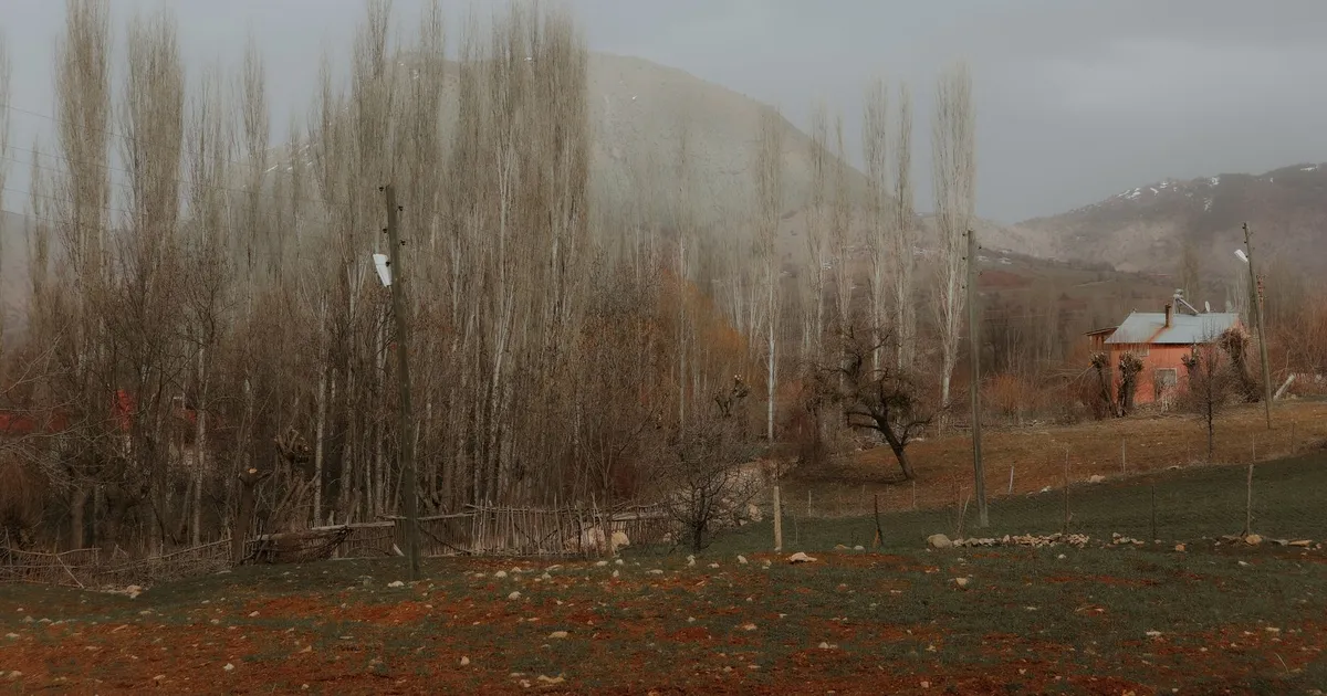 View of a foggy autumn countryside in Şebinkarahisar, Turkey with bare trees and a distant house.
