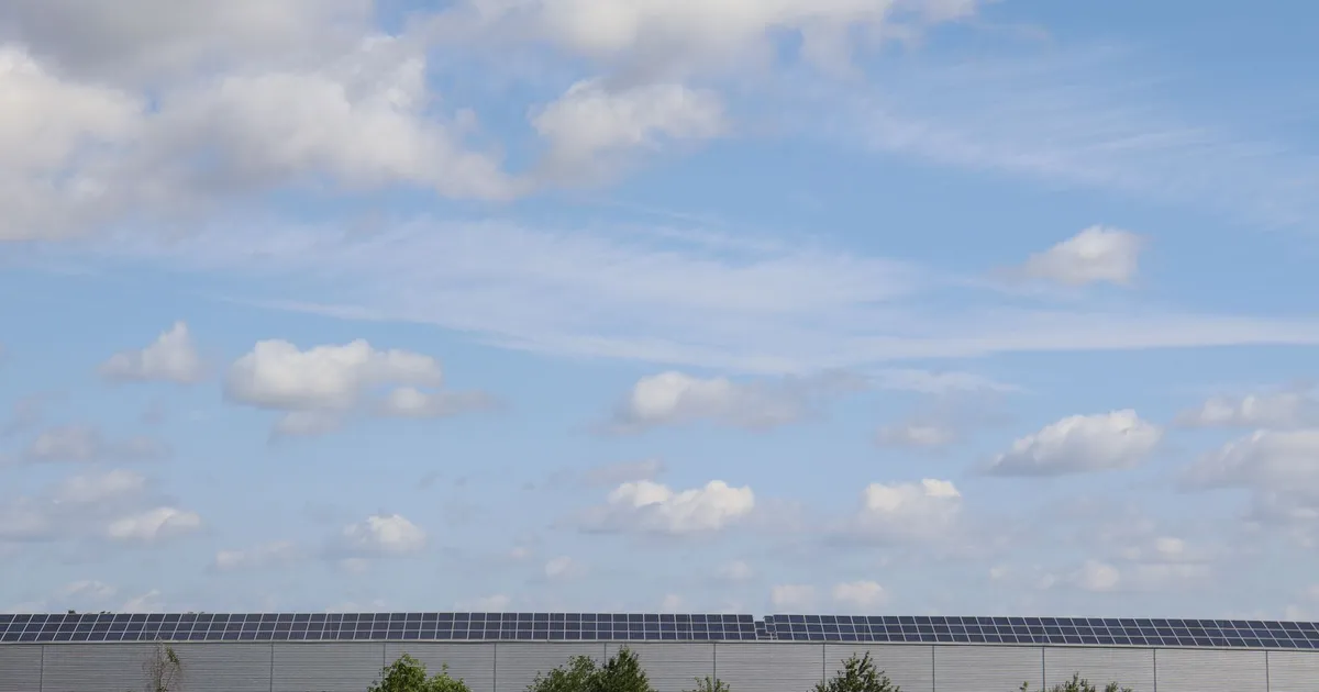 Warehouse roof adorned with solar panels beneath a bright blue sky.