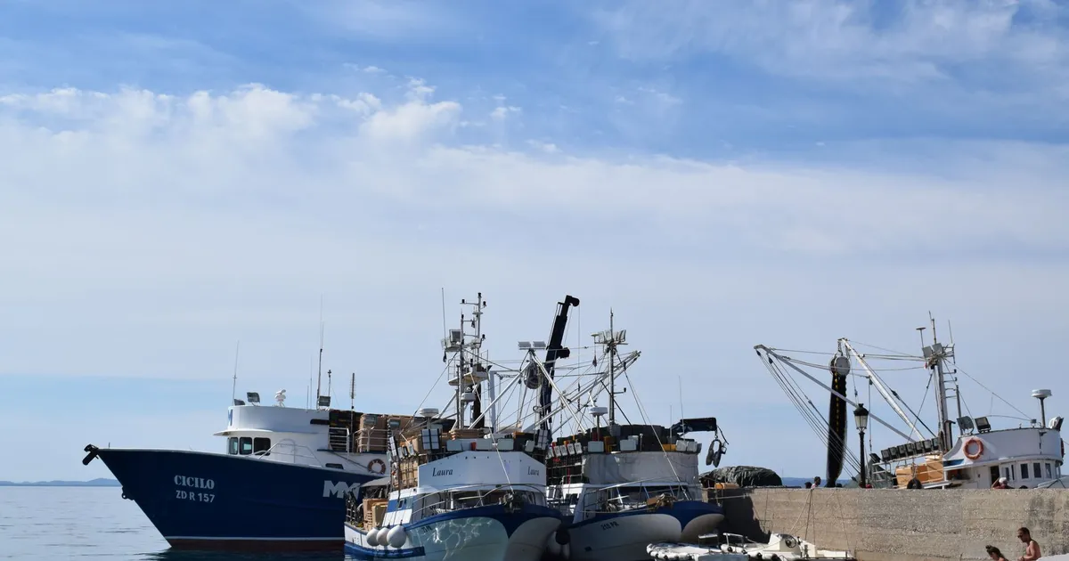 Fishing boats docked at a harbor under a clear blue sky, showcasing maritime industry.