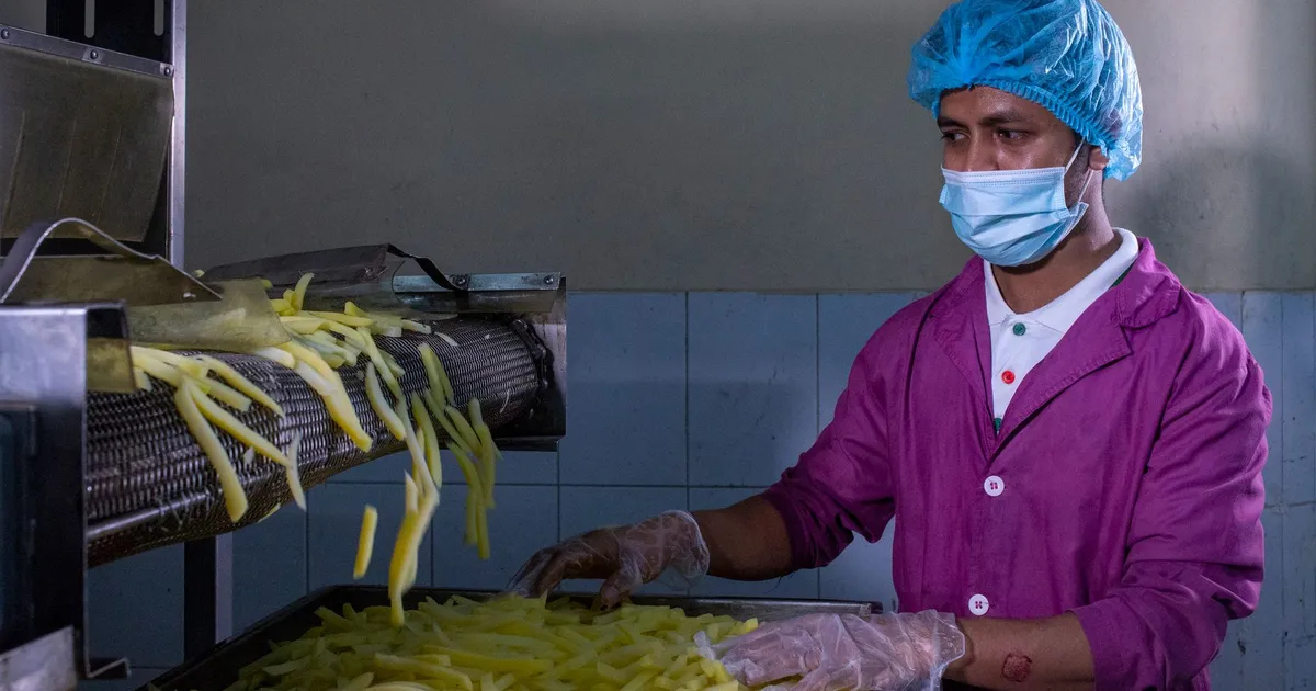 A factory worker in protective gear monitors the production of French fries, ensuring quality control.