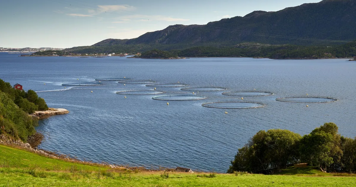 Scenic view of salmon farms in Molde's coastal waters with mountains in the background.