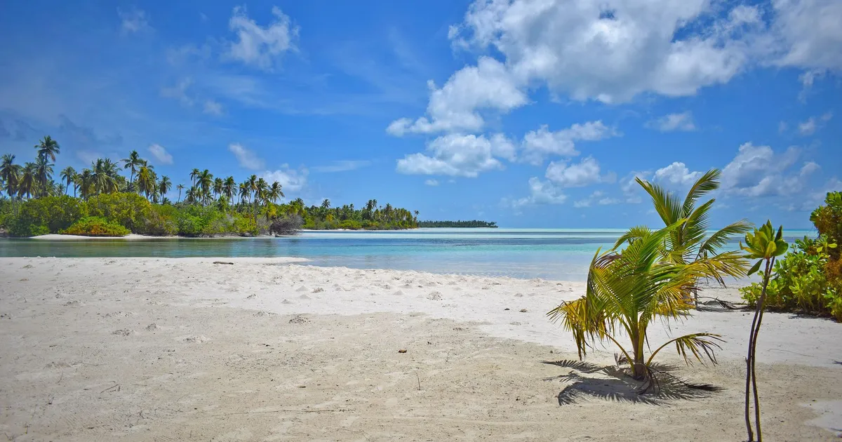 Sunny tropical beach with palm trees in Gaafu Dhaalu Atoll, Maldives.