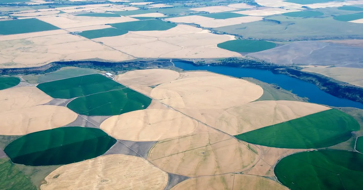 Ririe Dam aerial