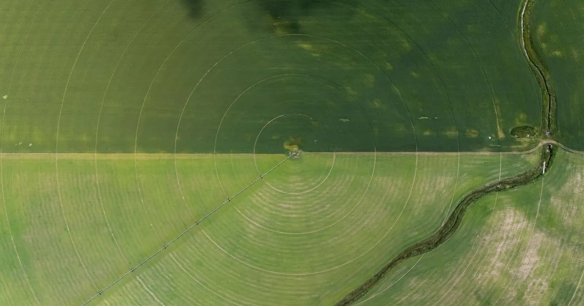 Aerial view showcasing farming irrigation circles and a river beside green fields.