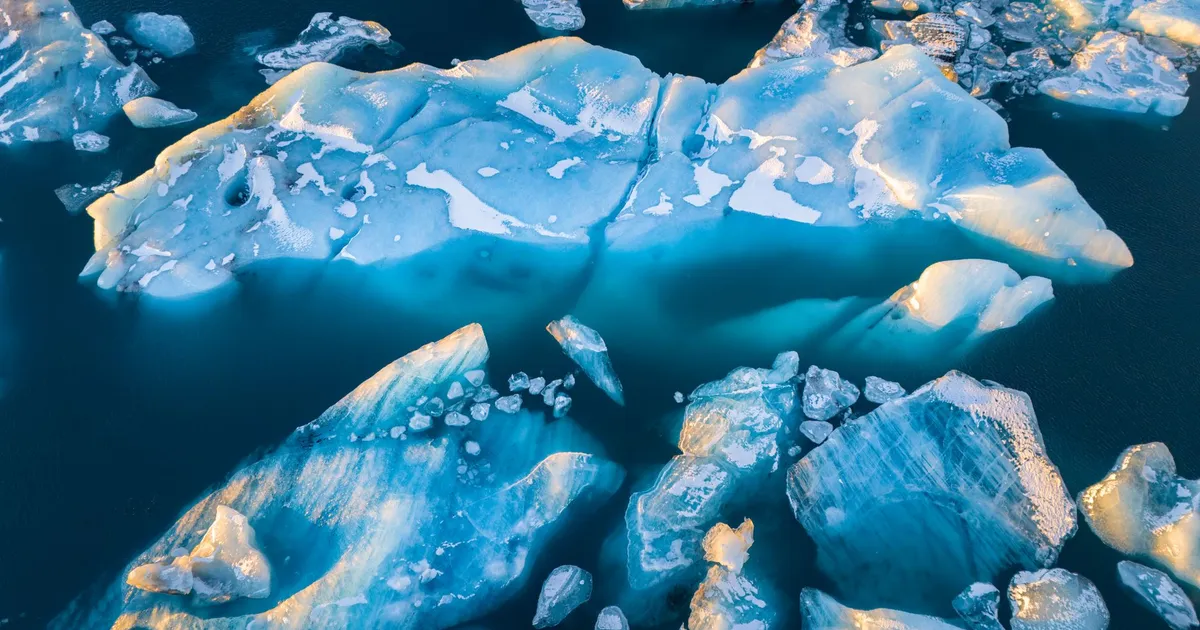 Stunning aerial view of large icebergs floating in deep blue waters.
