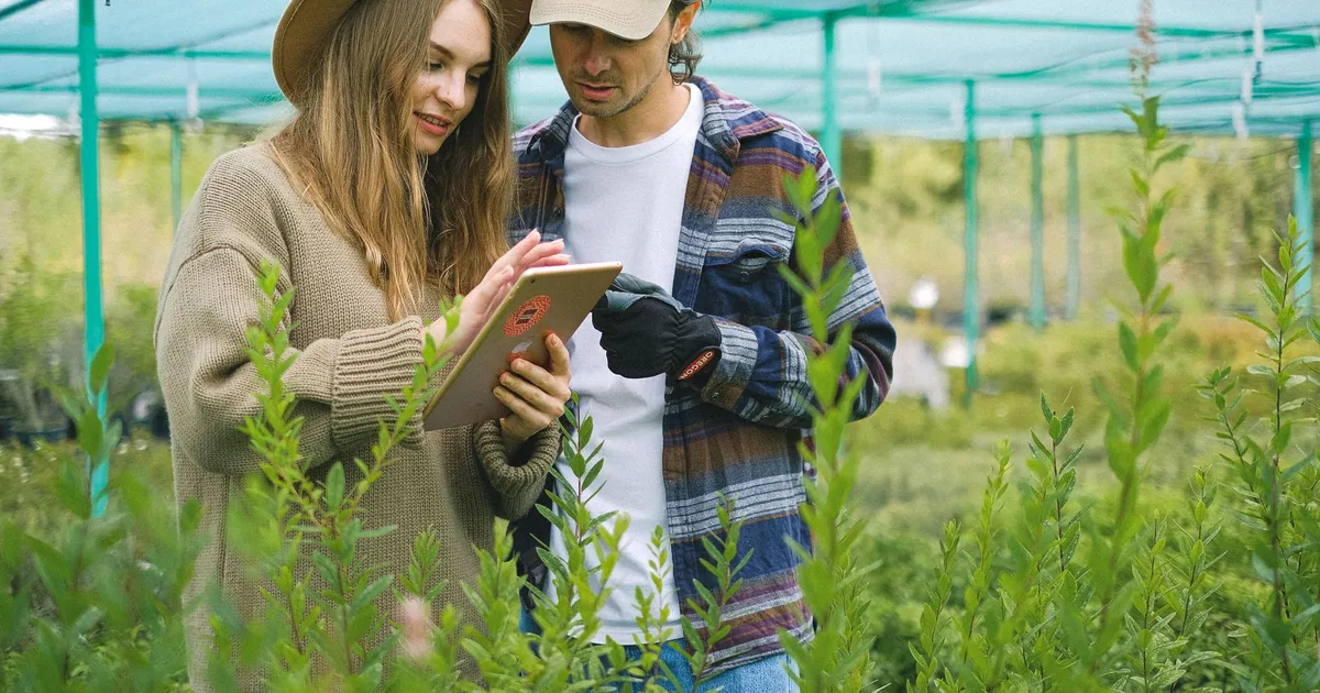 Young couple watching tablet while standing in middle of greenhouse with different lush plants